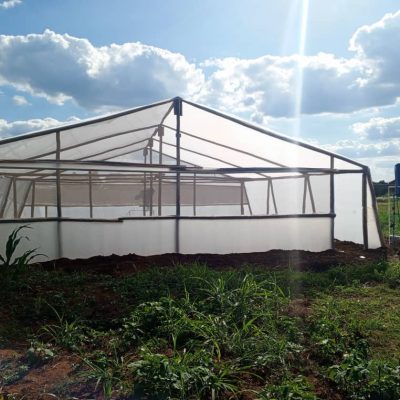 PHOTO-2025-06-17-10-35-11